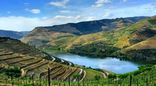 Douro Valley full-day tour with wine tasting and a boat trip