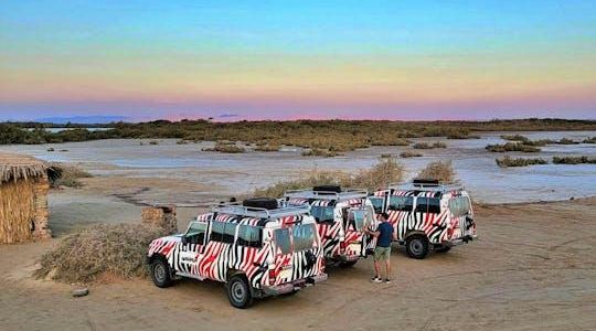 Half-day Nabq National Park safari with lunch in a bedouin tent