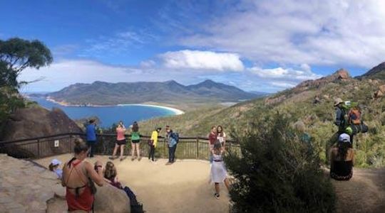 Wineglass Bay and Freycinet National Park Day Tour