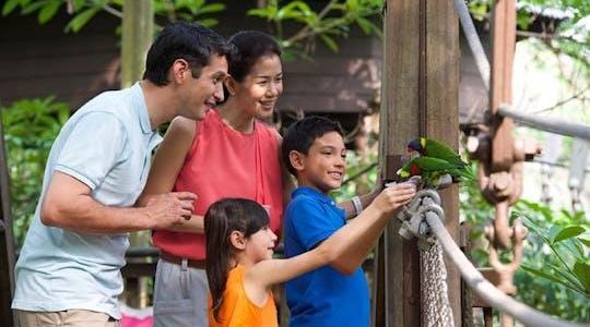 Private family tour of nature, birds and butterflies in Kuala Lumpur