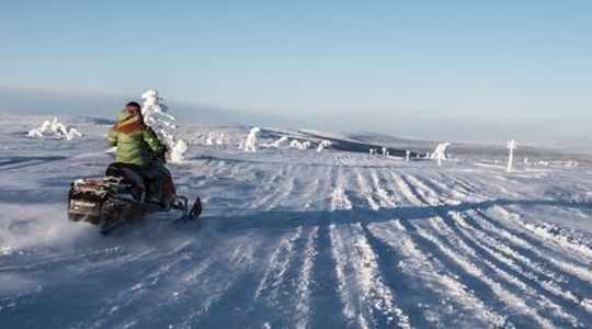 Guided snowmobile tour in Sälen