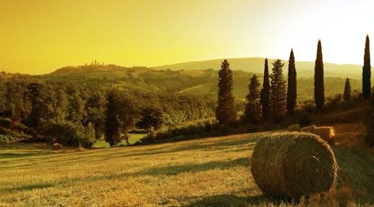 Sunset Wine Tour from Siena to Chianti with Dinner