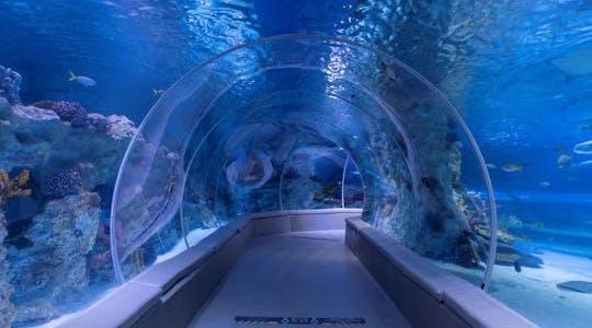 Istanbul Emaar Aquarium and Underwater Zoo with optional SkyView