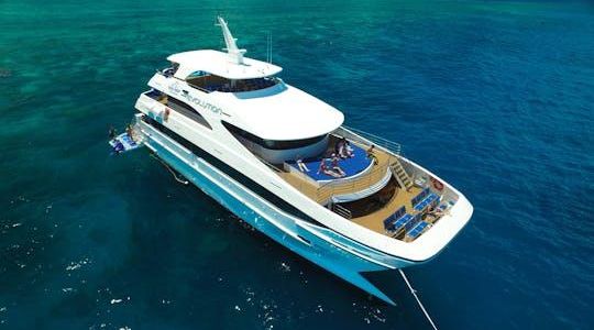 Great Barrier Reef Snorkeling and Diving Cruise