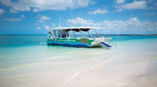 Turtle discovery ecotour
