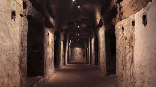 Catacombs of San Gaudioso tickets and guided tour