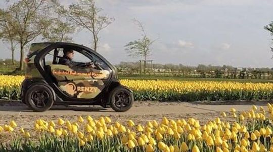 Lisse tulip fields self-drive tour for two people with audio guide