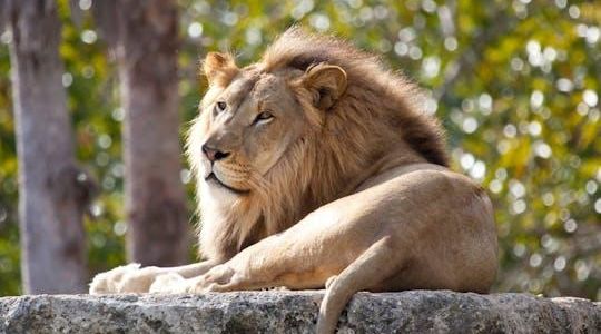 Pafos Zoo Ticket