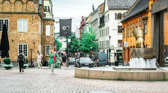 Typical Norwegian "Ut på Tur, Aldri Sur" private walking tour