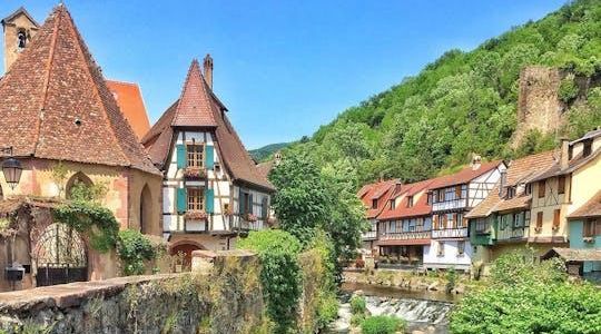 Pearls of vineyard full-day trip from Strasbourg