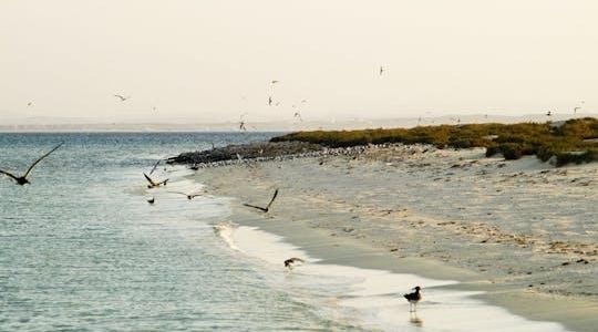 Hamata Snorkeling Cruise from Marsa Alam with Lunch and Drinks