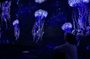Lisbon Oceanarium entrance tickets