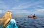 Full-day hiking and paddling tour in Everglades National Park
