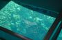 Glass bottom cruise in Aqaba