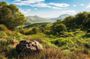 Self-guided electric bike tour from Killarney