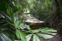 Rainforestation and Kuranda Village tour by Coach