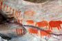 Drakensberg World Heritage full-day tour from Durban