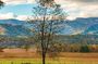 Cades Cove Self-Guided Driving Audio Tour