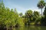 Makasutu Culture Forest full-day tour