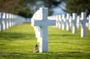 Normandy D-Day tour from Paris with Omaha Beach, American cemetery and cider tasting