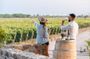 Mendoza vineyards tour with wine tasting