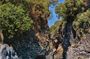 Tour of Etna and Alcantara Gorges