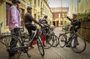 Guided bike tour of Dresden