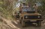 Full day safari private tour in Algarve