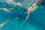 Key West morning reef snorkel