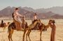 Naqb National Park in a 4x4 with camel ride and dinner