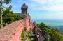 Full-day shared tour of the gems of Alsace from Colmar