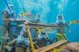 De Palm Island underwater helmet walk