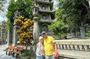 Full-day Da Nang highlights discovery tour