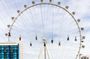 Fly LINQ Zipline Experience tickets