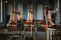 Giant's Causeway and Titanic Distillers Whiskey tasting from Dublin