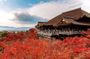 Full-Day Guided Tour of Kansai's Top Attractions