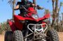 Evening Quad Bike at Palmeraie Area with Tea Tasting from Marrakech