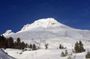The Hood-Columbia Loop: Timberline, Orchards, and Waterfalls tour from Portland