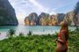 3-Hour Private Sunrise Tour by Longtail Boat to Maya Bay from Phi Phi