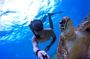 Half-day afternoon boat trip with lunch and drinks in Hurghada