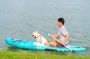 90-minute paddle surf with dog experience in Seville