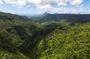 Mauritius Black River Gorges hike