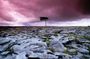 Cliffs of Moher and the Burren tour from Galway City