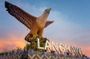 The grand tour of Langkawi private tour