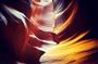 Upper Antelope Canyon and Horseshoe Bend Tour from Las Vegas