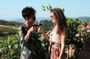 Chianti wine tour with two organic wineries and tastings