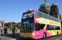 Best of Berlin: 24h, 48h or 72h hop-on hop-off tour by City Circle