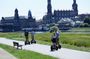 Guided Dresden and Elbe tour by Segway