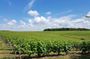 Loire Valley Day from Tours with Visit to Azay le Rideau and Villandry