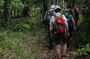 Mauritius Ebony Forest and hiking tour